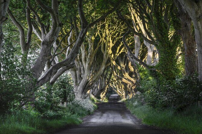Game of Thrones - Private Audi A6 tour with Richard the Wildling - Are You a Game of Thrones Fan Looking for a Unique Tour Experience?