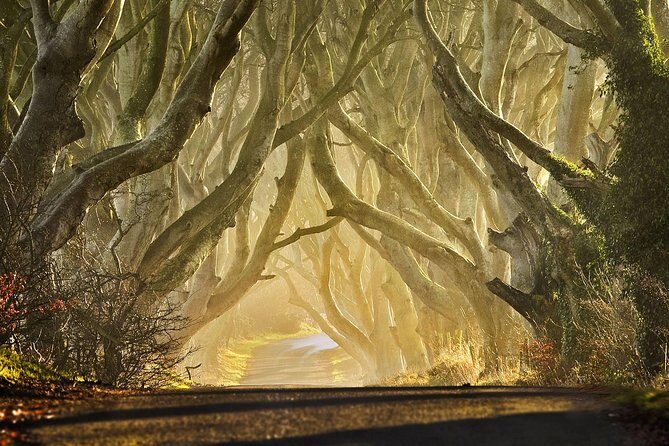 Game of Thrones - Private Audi A6 tour with Richard the Wildling - Final Thoughts – Is This Tour Right for You?