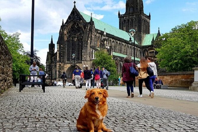 Gander Walking Tours in Glasgow - What you’re really buying for $16.64