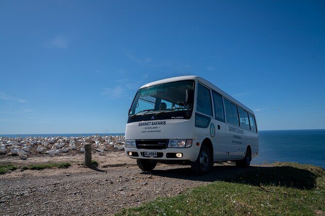 Gannet Safaris Overland tour to Cape Kidnappers Gannet Colony - Final Thoughts