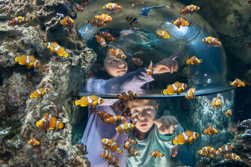 Gardaland SEA LIFE Aquarium: Open Date Entry Ticket - What to Expect at Gardaland SEA LIFE Aquarium