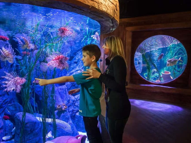 Gardaland SEA LIFE Aquarium: Open Date Entry Ticket - Frequently Asked Questions