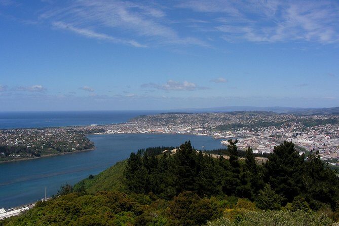 Garden and City tour - Exploring Dunedin in a Nutshell