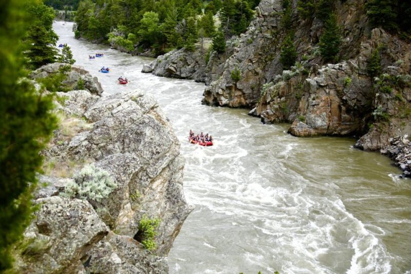 Gardiner: Yellowstone River Half-Day Whitewater Rafting - What to Expect from the Yellowstone River Half-Day Whitewater Rafting