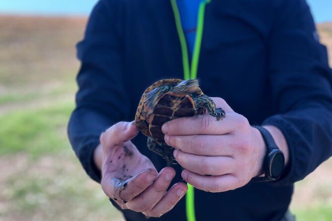 Gareja Sunrise Hike Tour from Tbilisi and Rainbow Hills Trail - The Sum Up