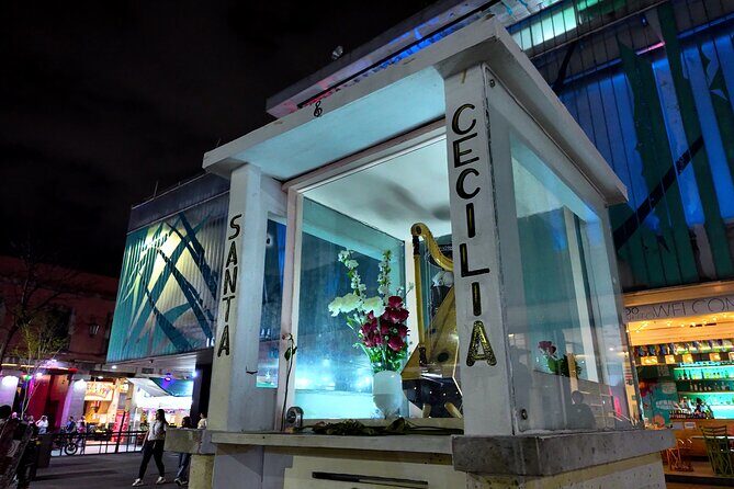 Garibaldi Nights Tour - Introduction