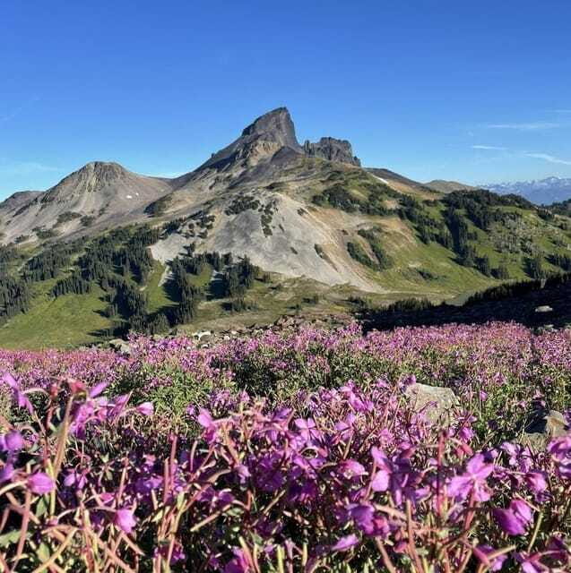 Garibaldi Park/ Panorama Ridge/ Hiking Day Trip - Reaching Panorama Ridge