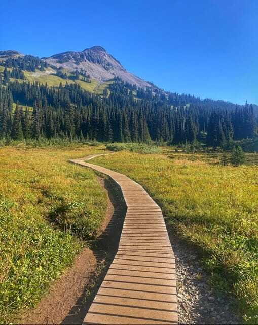 Garibaldi Park/ Panorama Ridge/ Hiking Day Trip - The Guide Experience