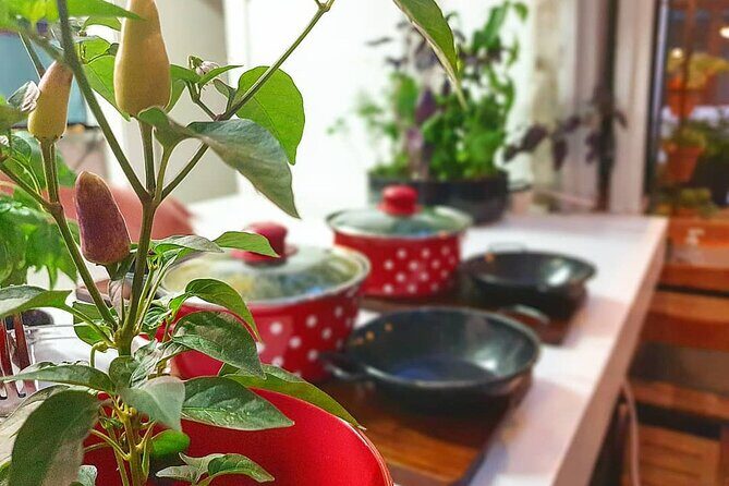 Gastro and History Jewels Experience in Split - FAQs