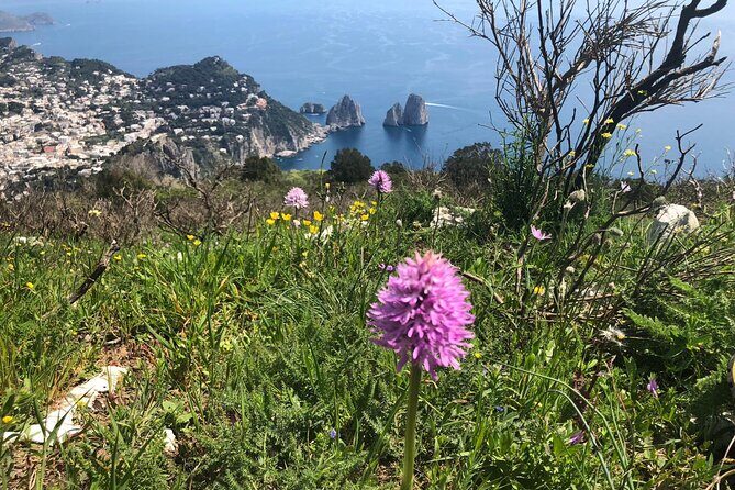 Gastronomic Hike on the Path of the Gods with Food Tasting - The Sum Up: Who Should Consider This Tour?