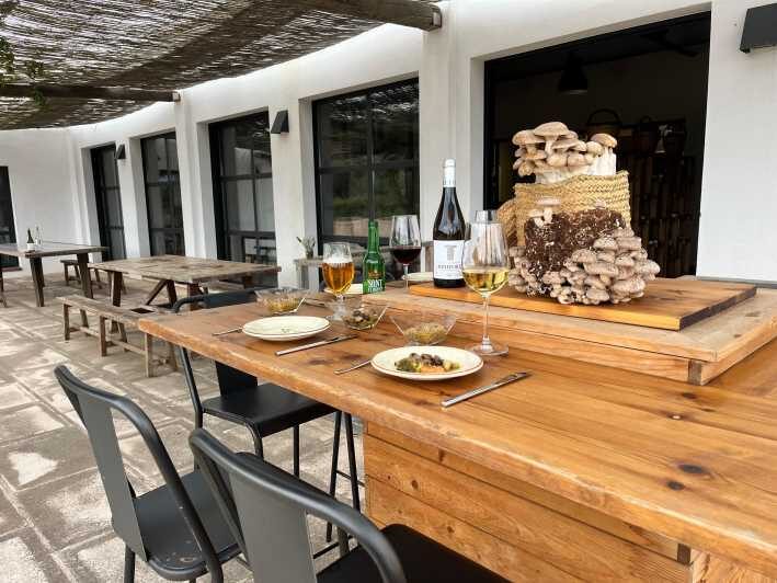 GASTRONOMIC MUSHROOM EXPERIENCE. Tour not included - What to Expect from the Mushroom Tasting Experience