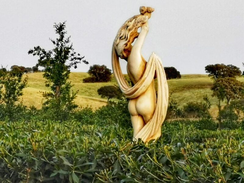 Gastronomic Wine tasting Experiences in Mértola, Alentejo - Who Will Love This Experience