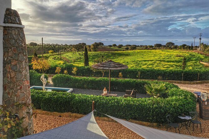 Gastronomic Wine tasting in Mértola, Alentejo - What Makes This Wine Tasting Special?