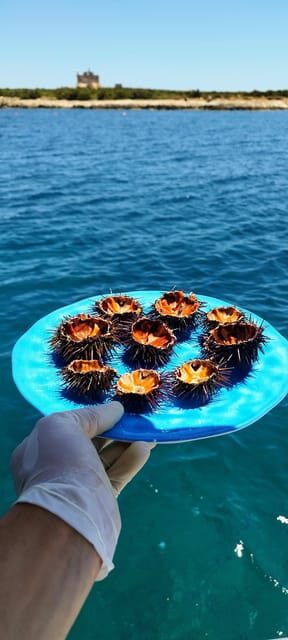 Gastronomy boat excursion - Final Thoughts