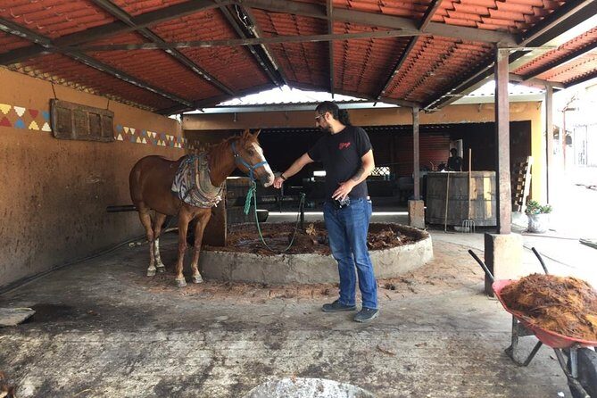 Gastronomy Experience, Culture Mezcal,Tasting & Textiles. Private Tour. - The Itinerary in Detail