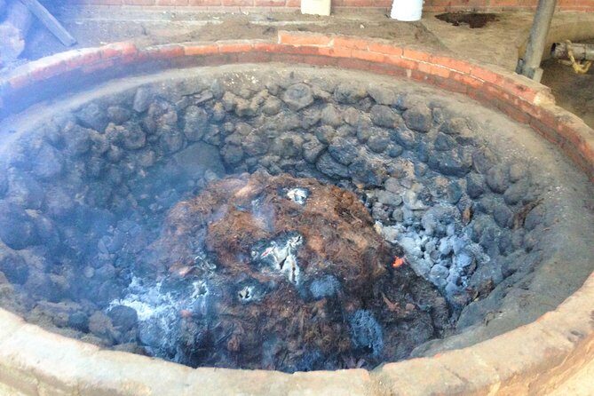 Gastronomy Experience, Culture Mezcal,Tasting & Textiles. Private Tour. - Who Will Love This Tour?