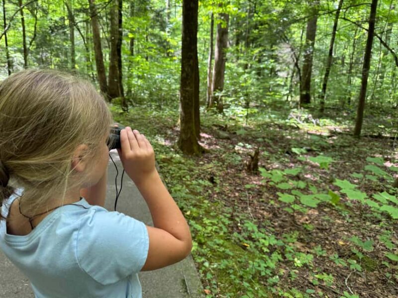 Gatlinburg: Adventure Hike and Craft for Kids - Who Is This Tour Best For?
