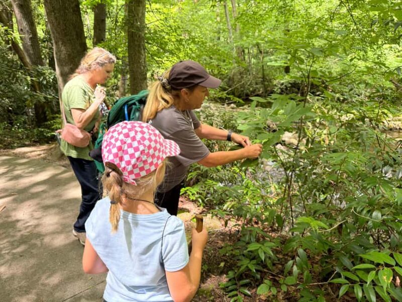 Gatlinburg: Adventure Hike and Craft for Kids - FAQs
