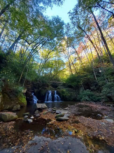Gatlinburg: Smoky Mountains Fall Foliage Guided Tour - Frequently Asked Questions