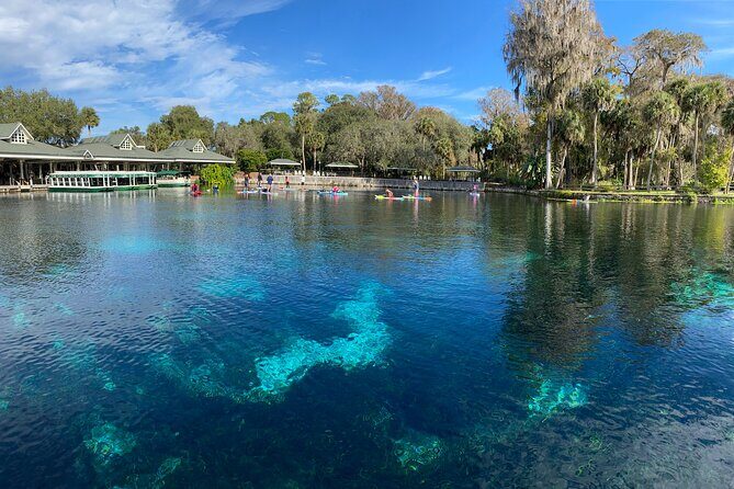 Gator Viewing Clear Kayak Springs Tour - Practical Details and Considerations