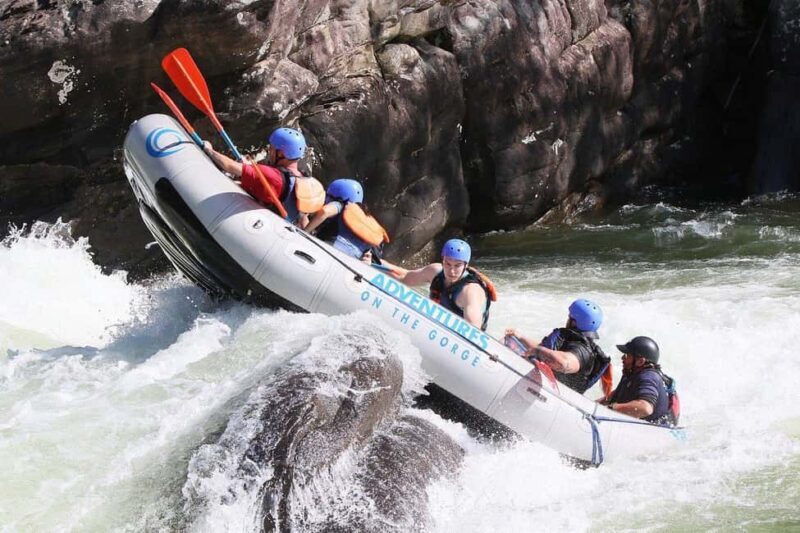 Gauley River: Lower Gauley Full Day Whitewater Rafting Tour - Who This Tour Is Perfect For