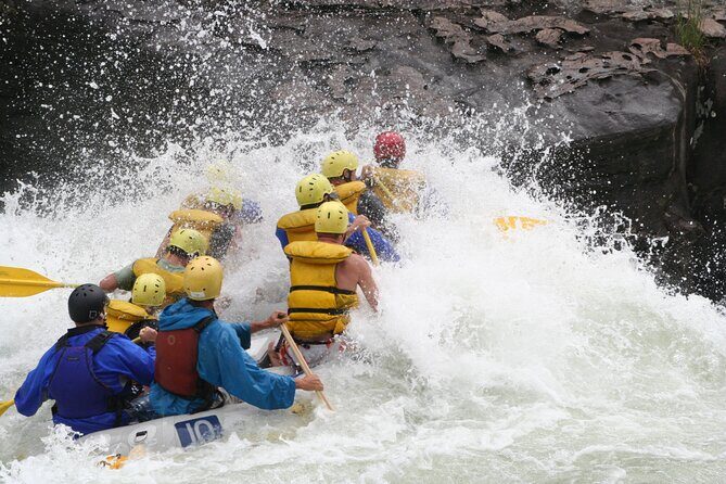 Gauley River Whitewater Rafting Marathon (Fall Only) - Authentic Voices and Feedback