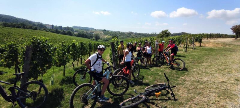 Gavi: E-Bike Tour with Wine Tasting - Final Thoughts: Who Should Consider This?