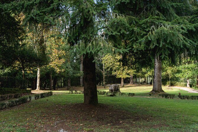 Gaztelugatxe, Mundaka and Gernika Tour from Bilbao - Gernika: A Town with Depth