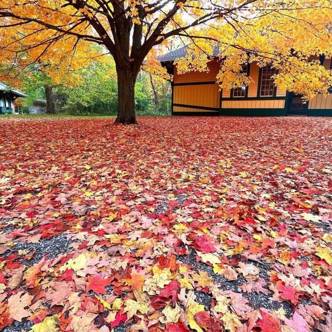 GCV&M Fall 2025 Extended Weekends - The Practicalities: What to Know Before You Go