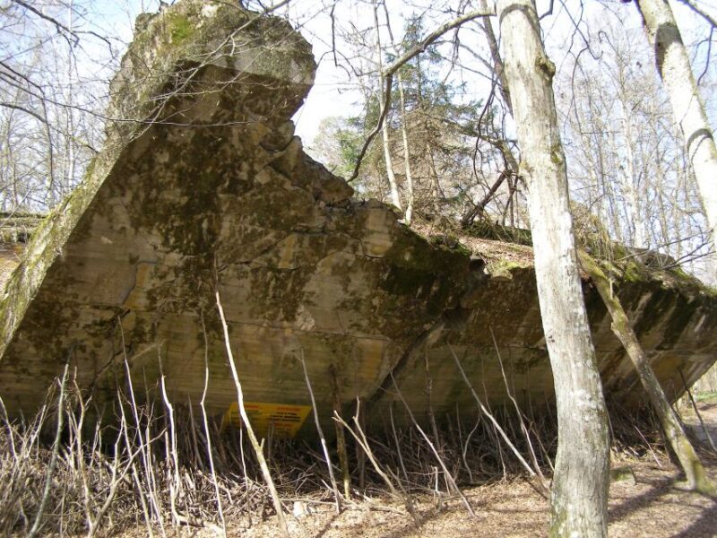 Gdansk Wolfs Lair with St. Lipka and Mamerki Private Guided - Key Points