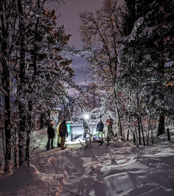 Geilo: Evening family tour with sledge, campfire and fun! - The Sum Up