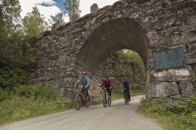 Geiranger Fjord: Downhill Self-Guided Bike Tour - Key Points