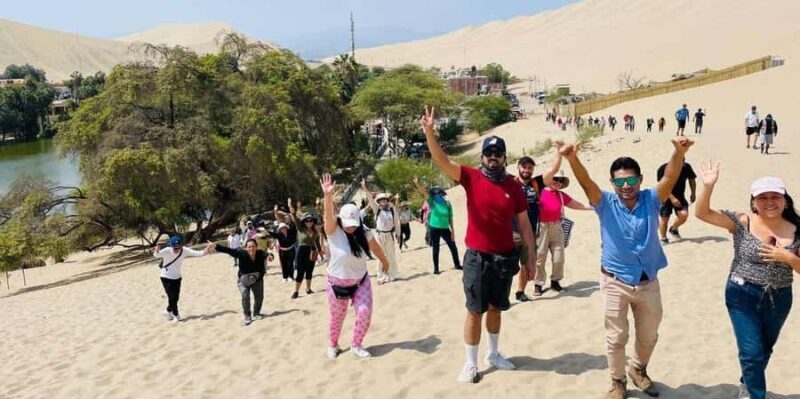 Gelsenkirchen: VW T2 Bulli meets Schalke Arena - The Practicalities and Value