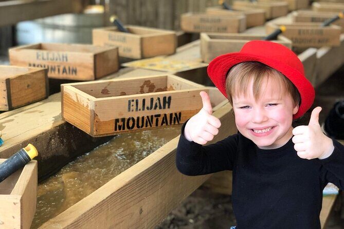 Gem Mining and Goat Farm Walking Tour in Hendersonville - Key Points