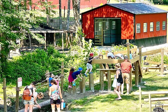 Gem Mining and Goat Farm Walking Tour in Hendersonville - Authentic Traveler Feedback