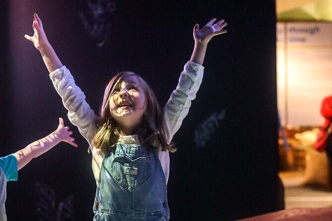 General Admission Ticket to Frazier History Museum - What Are the Downsides?