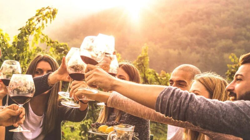 Geneva Countryside And Art Museum At A Castle Wine By E-Bike - The Value for Money