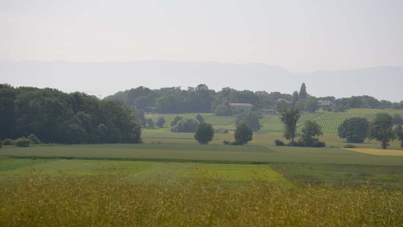 Geneva Countryside And Art Museum At A Castle Wine By E-Bike - Is This Tour Right for You?