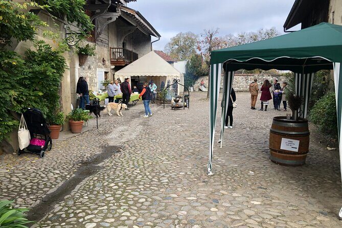 Geneva Countryside By E-Bike With Wine Tasting - A Closer Look at the Experience