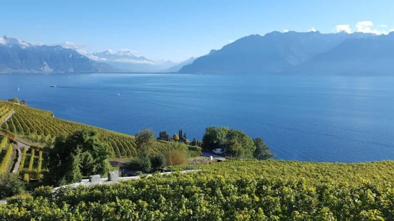 Geneva: Lavaux, Chexbres, and Valais Wine Tasting Tour - Key Points