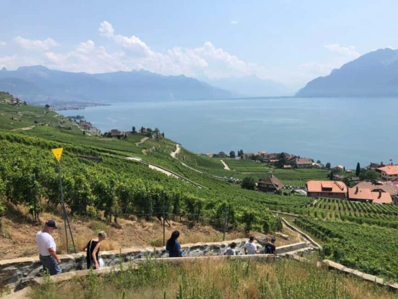 Geneva: Lavaux, Chexbres, and Valais Wine Tasting Tour - Practical Details