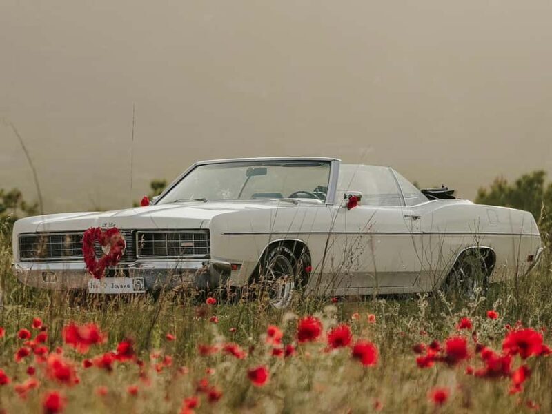 Geneva: Montreux, Lausanne, & Gruyères Private Day Trip - Possible Downsides and Things to Keep in Mind