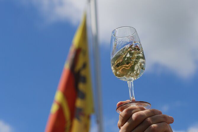 Geneva Panoramic & Tasting Vineyards Tour in an Tuk Tuk - FAQs