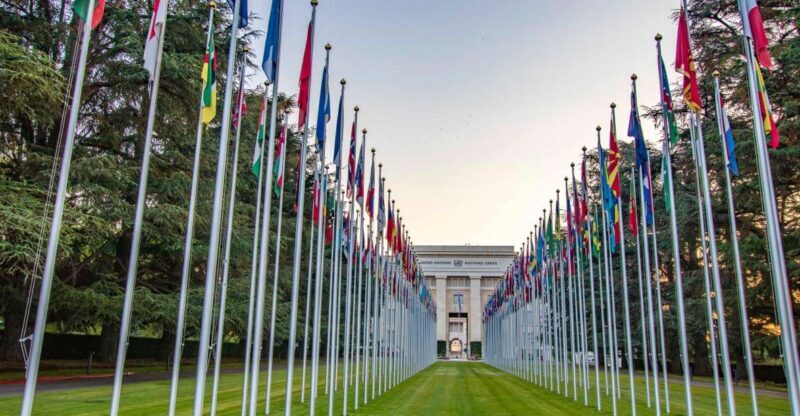 Geneva: Private Exclusive History Tour with a Local - The Practicalities: Meeting, Comfort, and Accessibility