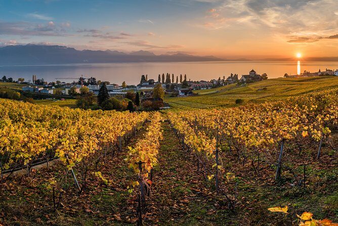 Geneva to Lausanne, Montreux and Château Chillon Private Tour - Is This Tour Right for You?