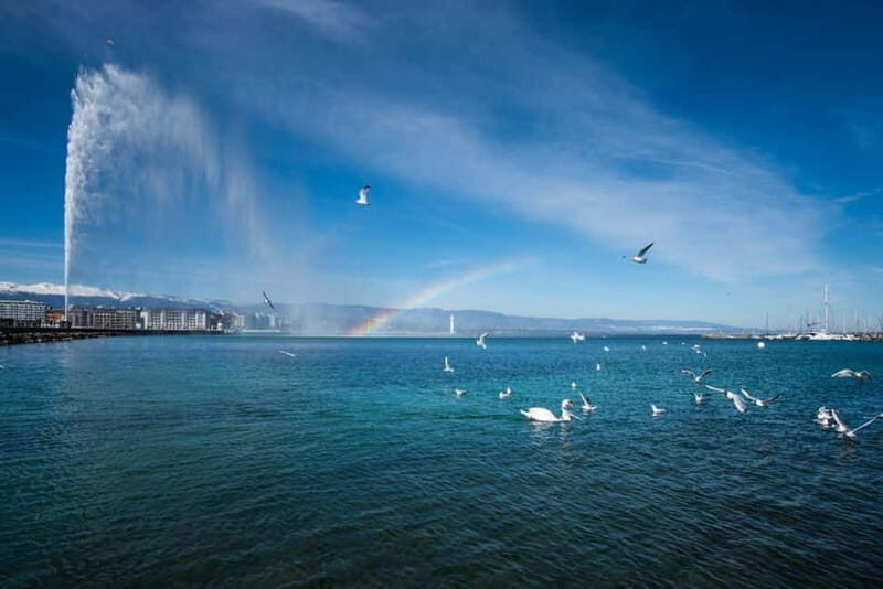 Geneva Walk & Cruise:The secrets of the Jet D'eau & apéritif - An In-Depth Look at the Geneva Walk & Cruise Tour