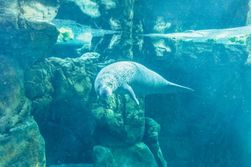 Genoa: Aquarium of Genoa Entry Ticket - Who Should Consider Visiting?