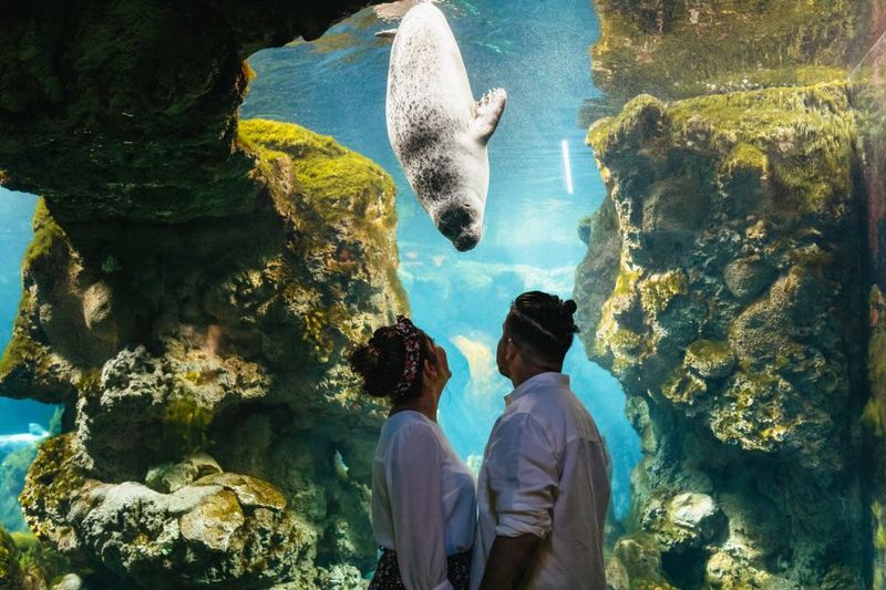 Genoa: Aquarium of Genoa Entry Ticket - Price and Logistics: Is $35 Good Value?