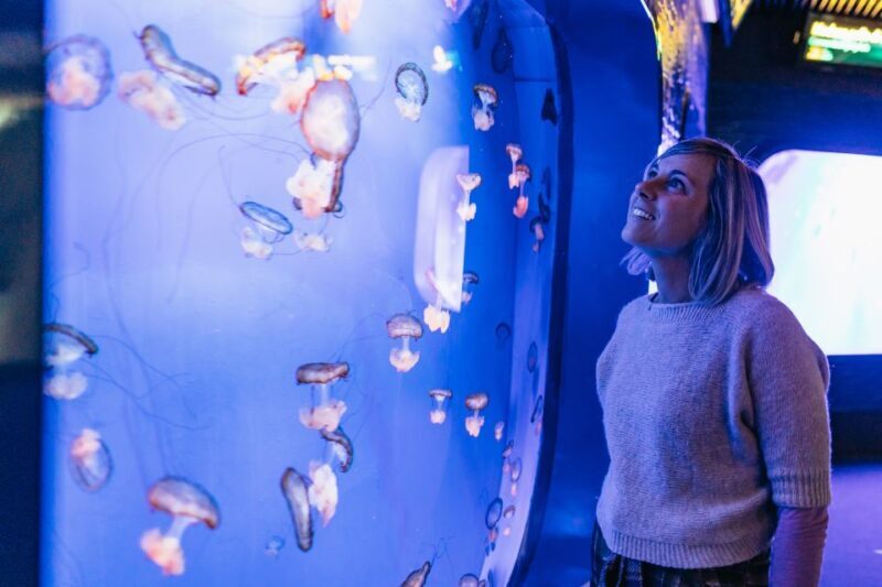 Genoa: Aquarium of Genoa with Lunch - Final thoughts