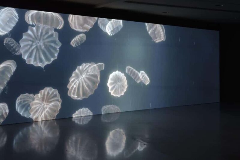 Genoa Palazzo Ducale: Entrance ticket for the Moby Dick - The Whale exhibition. - A Look Inside the Moby Dick Exhibition at Palazzo Ducale